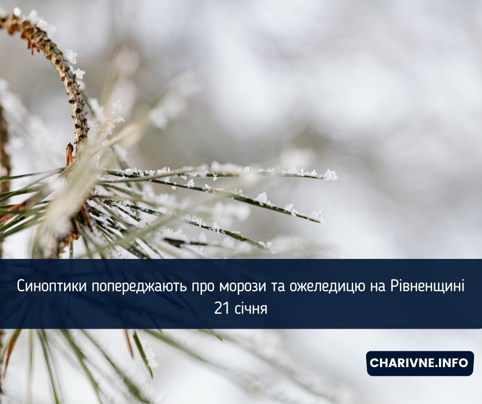 Фото ілюстративне